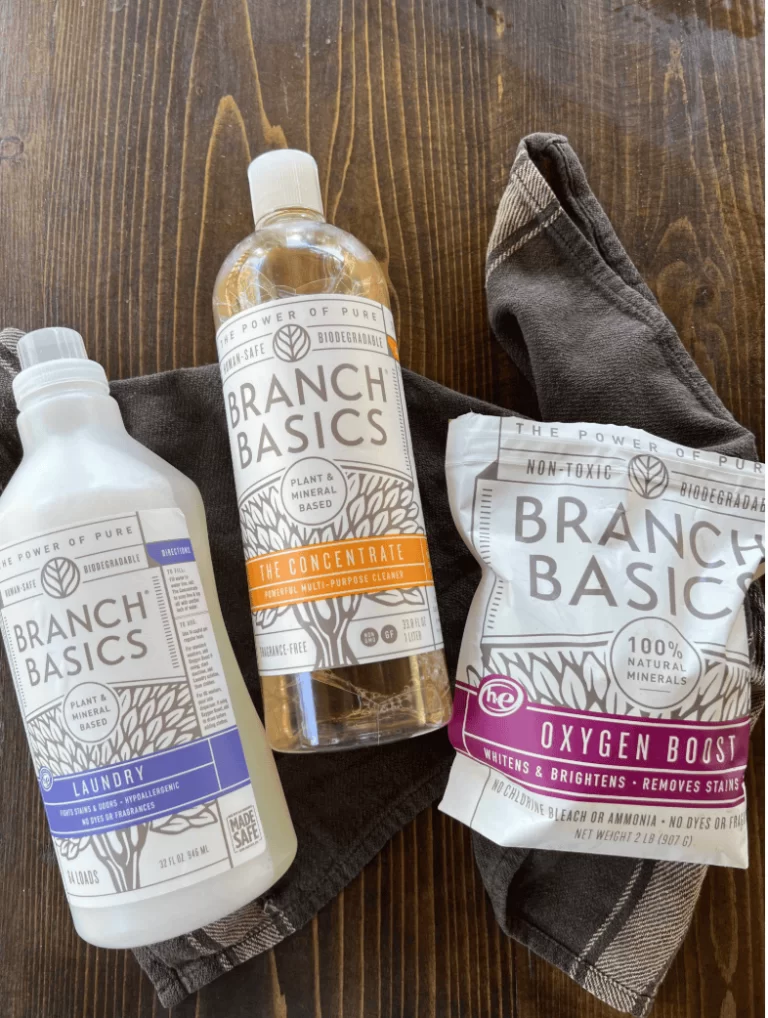 Branch Basics Review