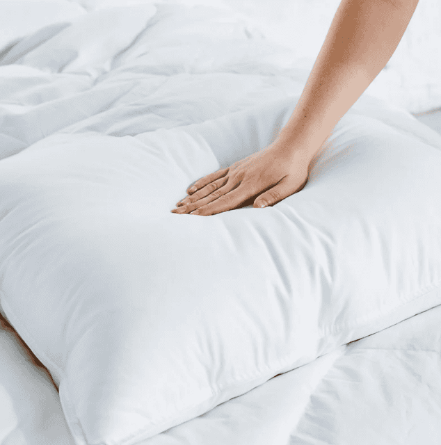 Avocado Organic Down Pillows