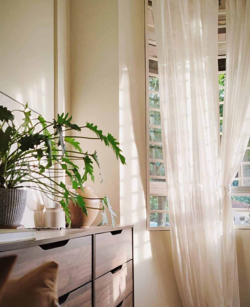 Healthy Home Reset